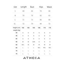 Load image into Gallery viewer, Pongiste